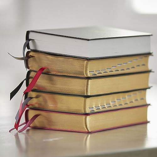 NKJV, Compact Center-Column Reference Bible, Leathersoft, Brown, Red Letter by Thomas Nelson - used book at Perkology Books