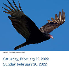 AUDUBON BIRDS PAGE-A-DAY 2022 by WORKMAN - used book at Perkology Books