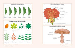The Grizzly Forager’s Guide to Family Foraging: Embrace Nature, Find Food by John Shahabeddin - used book at Perkology Books