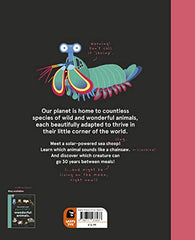 The World's Most Ridiculous Animals (2) (Quirky Creatures) by Philip Bunting - used book at Perkology Books