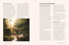 The Grizzly Forager’s Guide to Family Foraging: Embrace Nature, Find Food by John Shahabeddin - used book at Perkology Books