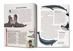 Antarctica: The Melting Continent by Karen Romano Young - used book at Perkology Books