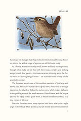 The Wren: A Biography by Stephen Moss - used book at Perkology Books