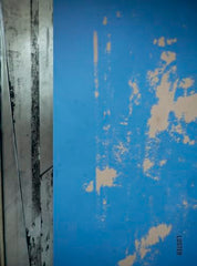 The Invisible Mark: Élise Van Thuyne by Elise Van Thuyne - used book at Perkology Books