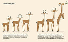 The World's Most Ridiculous Animals (2) (Quirky Creatures) by Philip Bunting - used book at Perkology Books