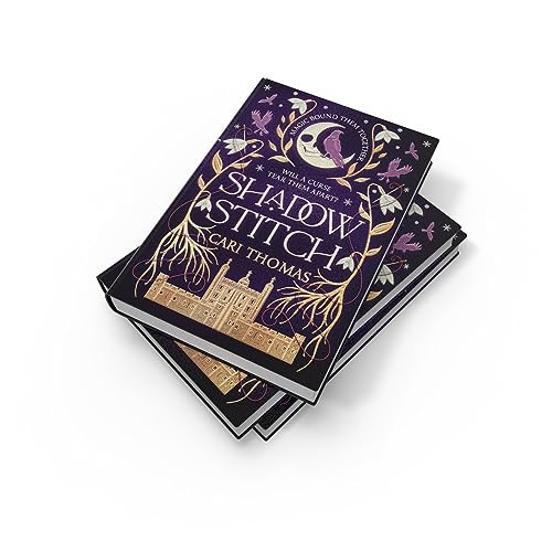 Shadowstitch: SPELLBINDING fantasy sequel by Cari Thomas - used book at Perkology Books
