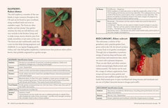 The Grizzly Forager’s Guide to Family Foraging: Embrace Nature, Find Food by John Shahabeddin - used book at Perkology Books