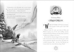 A Christmasaurus Carol by Tom Fletcher - used book at Perkology Books