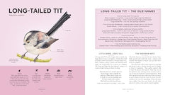 RSPB Bird Tales: Traditional Stories, Folklore and Activities by Dawn Casey - used book at Perkology Books