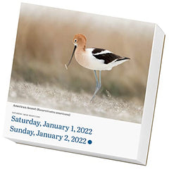 AUDUBON BIRDS PAGE-A-DAY 2022 by WORKMAN - used book at Perkology Books