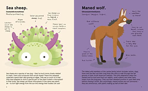 The World's Most Ridiculous Animals (2) (Quirky Creatures) by Philip Bunting - used book at Perkology Books