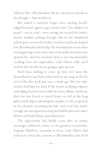 Rebel Heart: an action-packed English Civil War adventure by Ally Sherrick - used book at Perkology Books