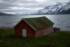 Eine Reise um die Welt in 365 Bildern: Das Magnum Archiv by Magnum Photos S.A.R.L. - used book at Perkology Books