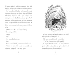 Finding Hope (Volume 1) (A Whistledown Farm Adventure) by Nicola Baker - used book at Perkology Books