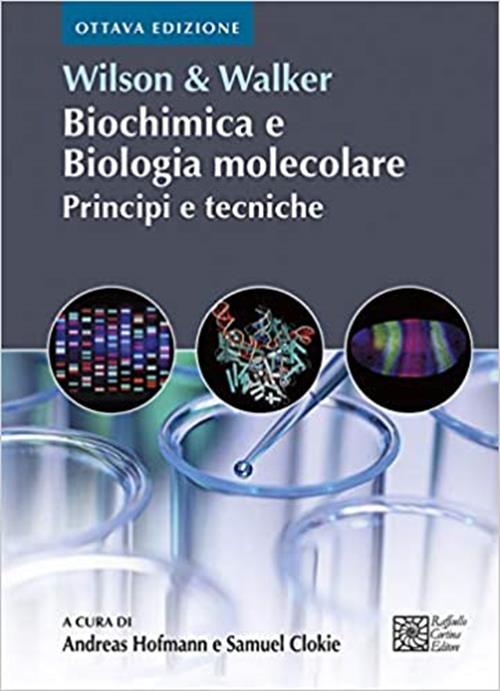 Biochimica e biologia molecolare. Principi e tecniche (Italian) Hardcover