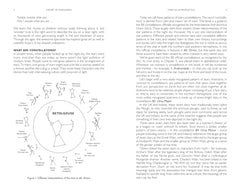 The Sky at Night: The Art of Stargazing by Dr Maggie Aderin-Pocock - used book at Perkology Books