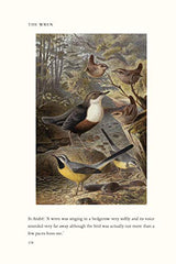 The Wren: A Biography by Stephen Moss - used book at Perkology Books
