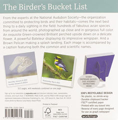 AUDUBON BIRDS PAGE-A-DAY 2022 by WORKMAN - used book at Perkology Books