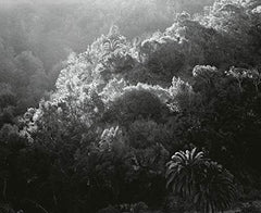 Hope: Prix Pictet: Prix Pictet 08 (Eng) [Hardcover] teNeues Verlag by teNeues Verlag - used book at Perkology Books