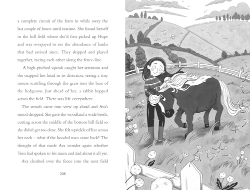 Finding Hope (Volume 1) (A Whistledown Farm Adventure) by Nicola Baker - used book at Perkology Books