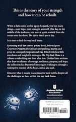 The Way Back Home by Courtney Peppernell - used book at Perkology Books