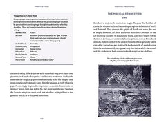 Ancient Magic in Greece and Rome: A Hands-on Guide by Philip Matyszak - used book at Perkology Books