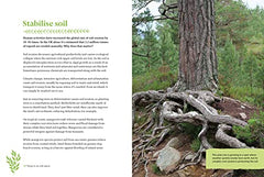 Things to do with Plants: 51 ways to connect with the botanical world by Emma Crawforth - used book at Perkology Books