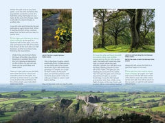 The Walker’s Guide to the Castles of Britain: 60 Inspiring Walks through Time by Julia Goodfellow-Smith - used book at Perkology Books