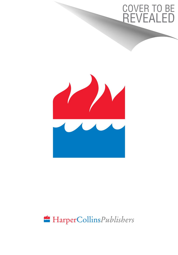 Old Soldiers by Paul Bailey - used book at Perkology Books