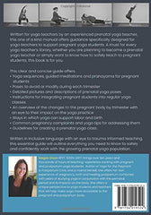 Yoga for Pregnancy & Birth: A Guide for Yoga Teachers by Megan Sloan - used book at Perkology Books