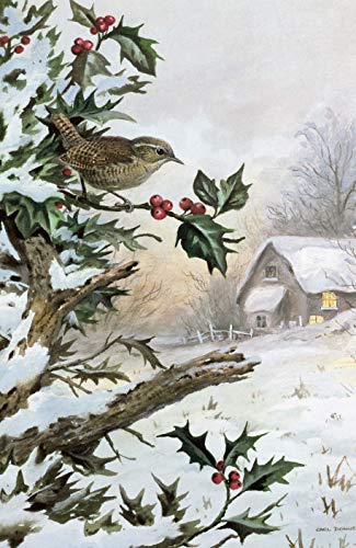 The Wren: A Biography by Stephen Moss - used book at Perkology Books