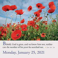 365 Bible Verses-A-Year Page-A-Day Calendar 2021 Workman Calendars by Workman Calendars - used book at Perkology Books