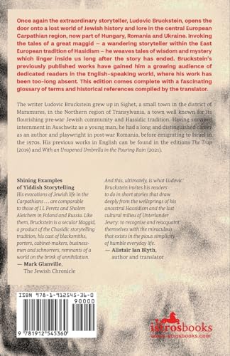 Fate of Yaakov Maggid by Ludovic Bruckstein - used book at Perkology Books