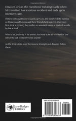 Fear Treks the Moor: 2 (The Moors series) by Josephine Pullein-Thompson - used book at Perkology Books