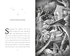 Robin Hood Aged 10 3/4: The brand new adventure by Ben Miller - used book at Perkology Books