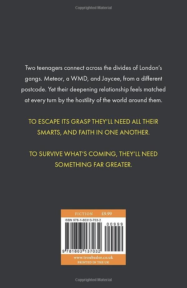 The Pelican Crossing by Adrian P Conway - used book at Perkology Books