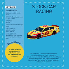 My Sticker Paintings: Cars: 10 Magnificent Paintings (Happy Fox Books) by Logan Powell - used book at Perkology Books