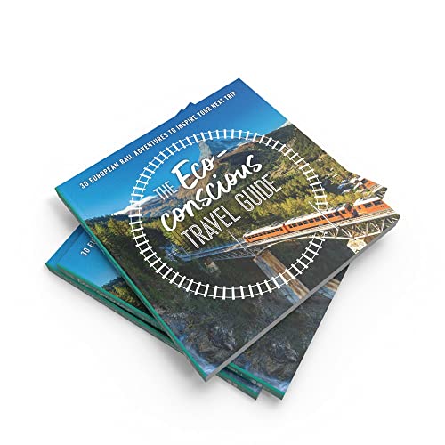 The Eco-Conscious Travel Guide by Georgina Wilson-Powell - used book at Perkology Books