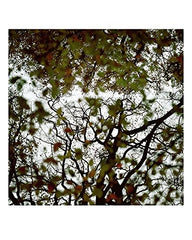 Passing Through [Hardcover] Nigel Grierson by Nigel Grierson - used book at Perkology Books