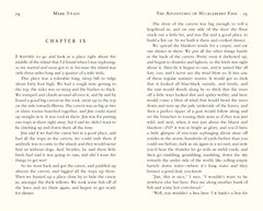 The Adventures of Huckleberry Finn (Flame Tree Collectable Classics) by Mark Twain - used book at Perkology Books