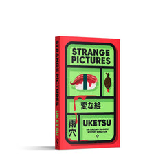 Strange Pictures: The Chilling Japanese Mystery Sensation (Pushkin Vertigo)