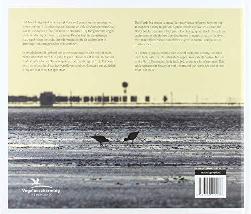 Turn the tide: Birds around the North Sea [Hardcover] Sijmen Hendriks by Sijmen Hendriks - used book at Perkology Books