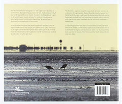 Turn the tide: Birds around the North Sea [Hardcover] Sijmen Hendriks by Sijmen Hendriks - used book at Perkology Books
