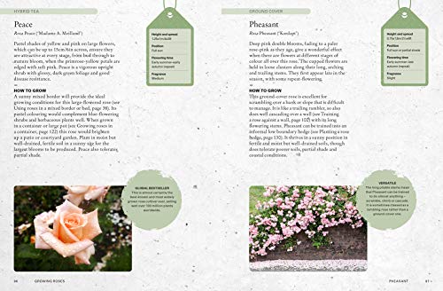 The Kew Gardener's Guide to Growing Roses: The Art and Science to Grow by ROYAL BOTANIC GARDENS KEW - used book at Perkology Books