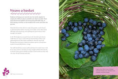 Things to do with Plants: 51 ways to connect with the botanical world by Emma Crawforth - used book at Perkology Books