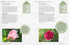 The Kew Gardener's Guide to Growing Roses: The Art and Science to Grow by ROYAL BOTANIC GARDENS KEW - used book at Perkology Books
