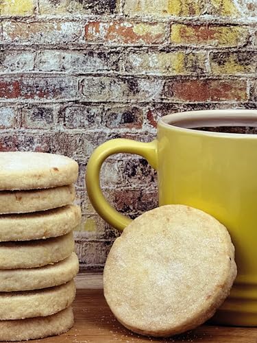 Sarah's Slice: Easy Bakes that Always Work by Sarah Samuels - used book at Perkology Books