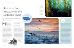 Lonely Planet The Joy of Wild Swimming: 60 travel experiences by Lonely Planet - used book at Perkology Books