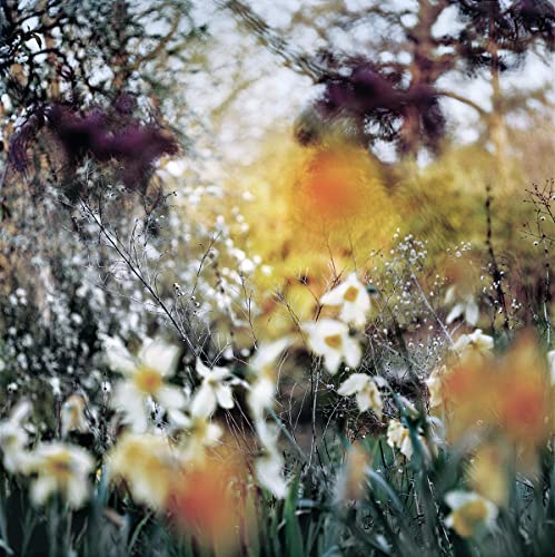 Passing Through [Hardcover] Nigel Grierson by Nigel Grierson - used book at Perkology Books