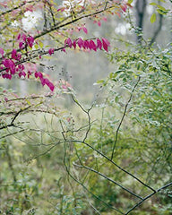 Hope: Prix Pictet: Prix Pictet 08 (Eng) [Hardcover] teNeues Verlag by teNeues Verlag - used book at Perkology Books